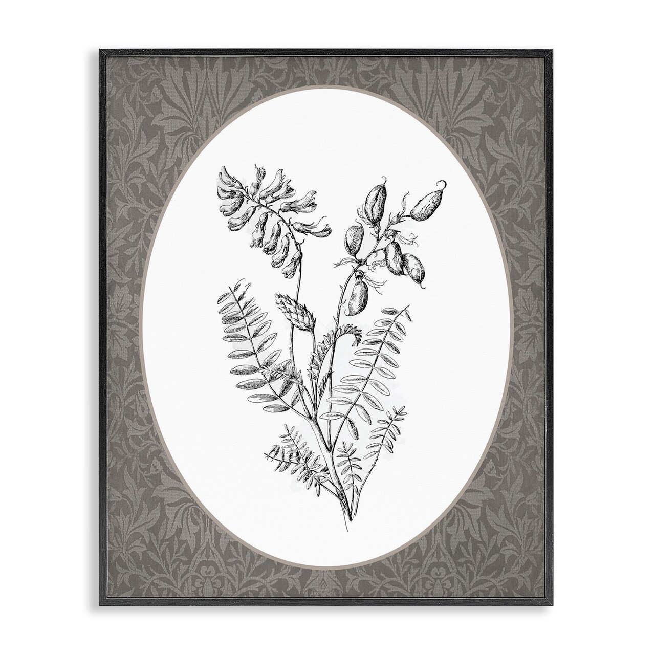 Stupell Industries Vintage Forest Botanicals Framed Giclee By Lettered and Lined